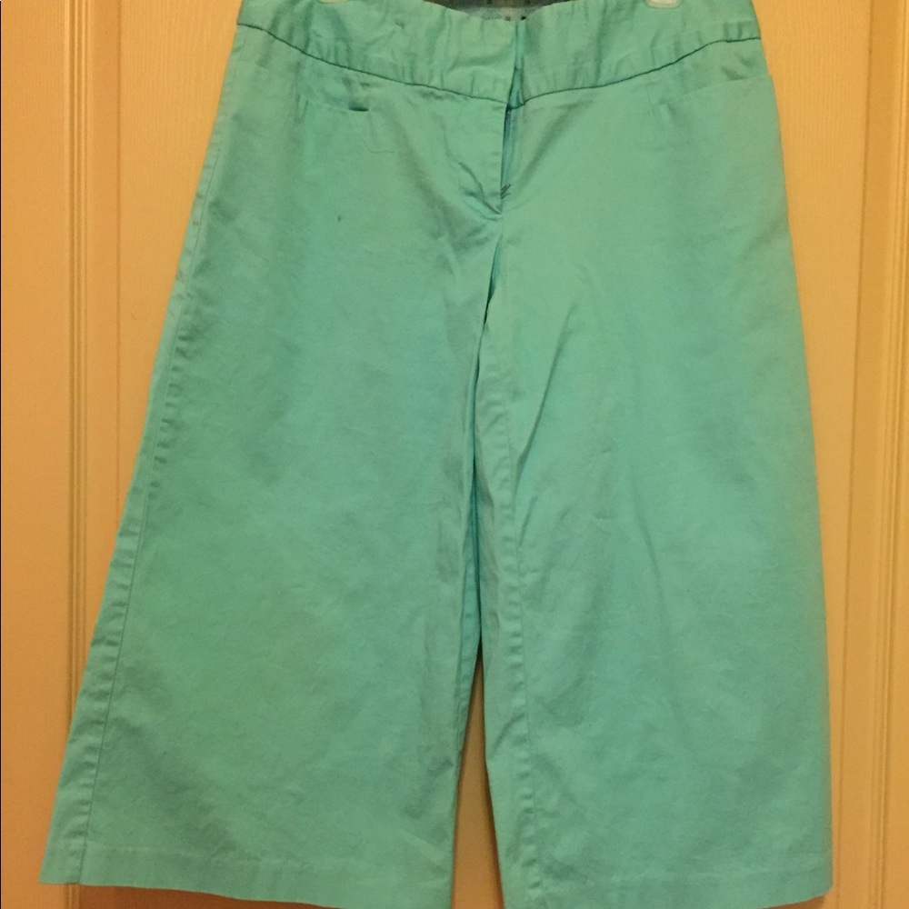Aqua capri wide leg pants